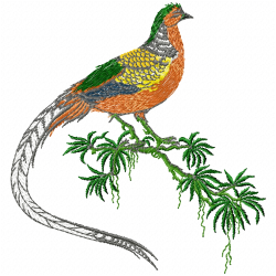 Various Birds Embroidery Design 2 Various Birds Embroidery Design 2